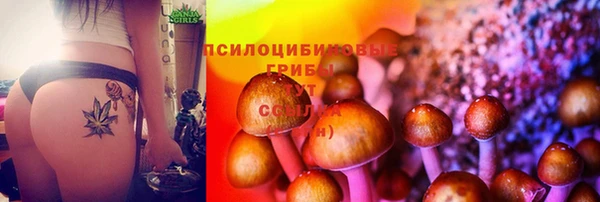 MESCALINE Алзамай
