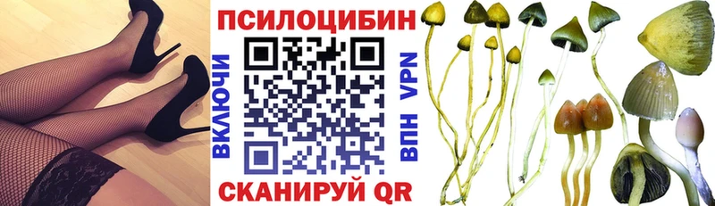 Галлюциногенные грибы Psilocybe  блэк спрут как зайти  Краснозаводск  цена  